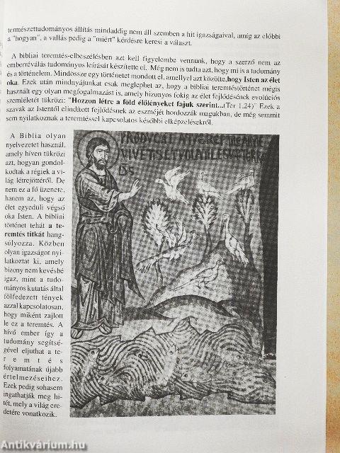 A boldogság útja I.