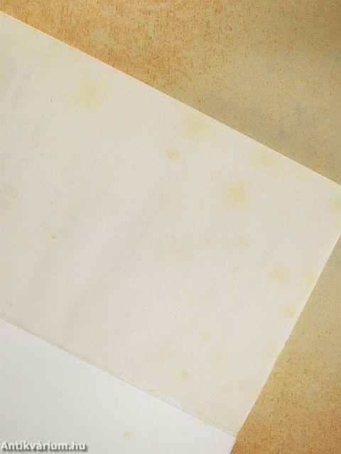 Murphy Windows-törvényei