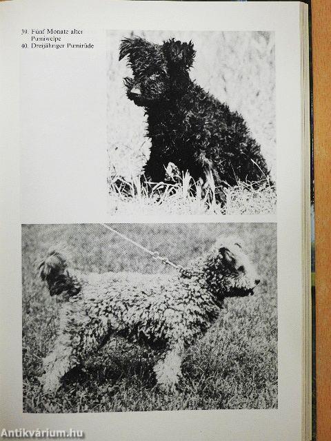 Ungarische Hunderassen