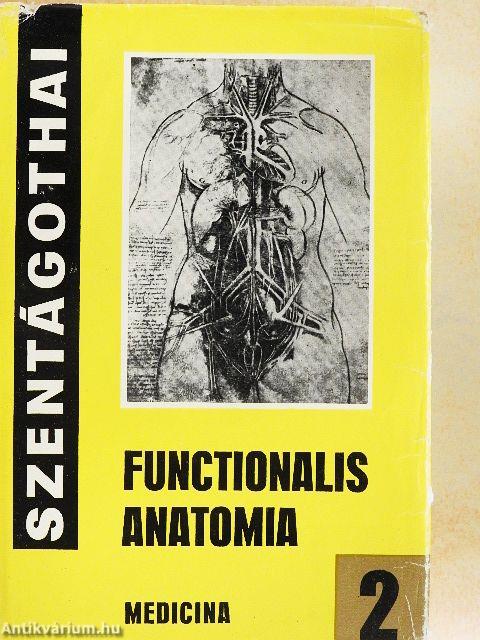 Functionalis anatomia 2.
