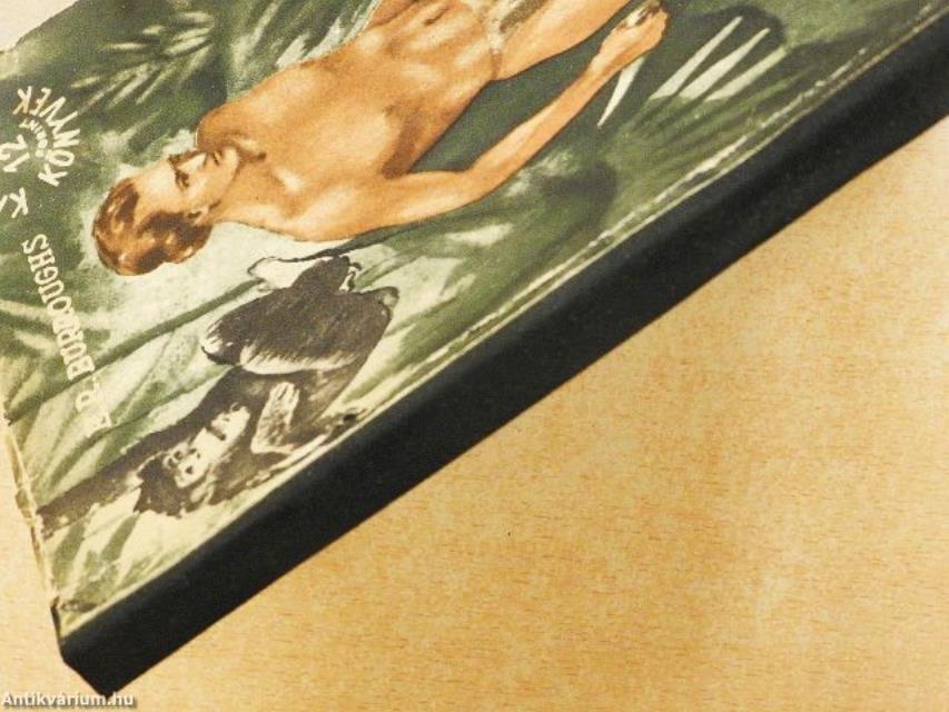 Tarzan a dzsungel fia