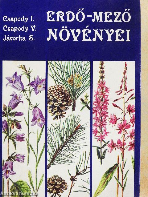 Erdő-mező növényei