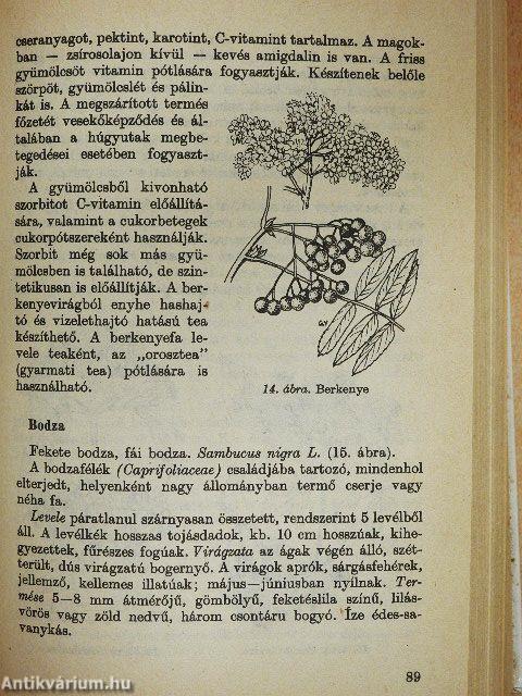 Gyógyító növények