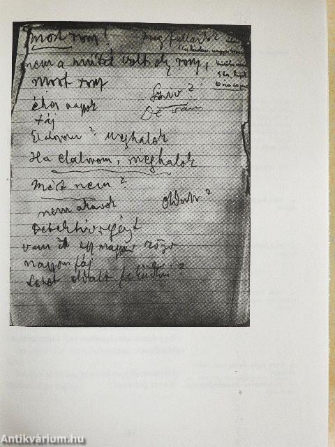 Babits Mihály beszélgetőfüzetei I-II. 