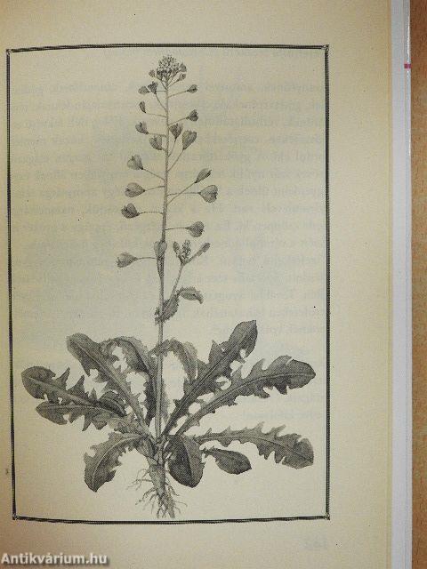 Szív- és érrendszeri betegségek