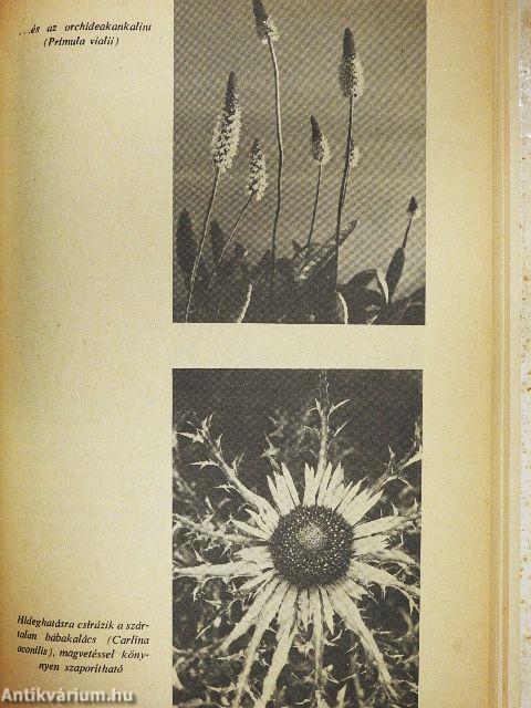 Növények kiskerti szaporítása