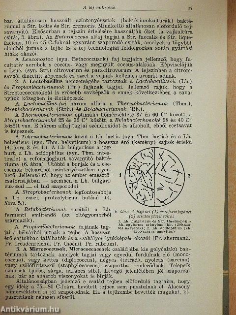 Tejtermelési higiéne