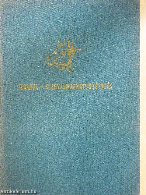 Szarvasmarhatenyésztés