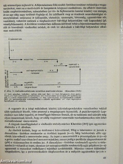 Pszichoszomatikus orvoslás