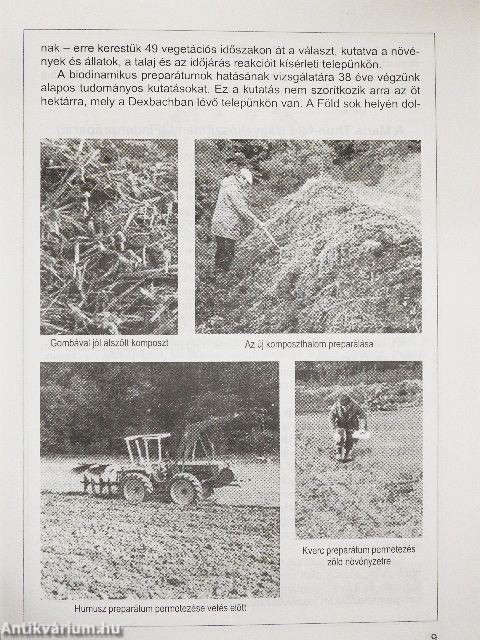 Vetési naptár 2001