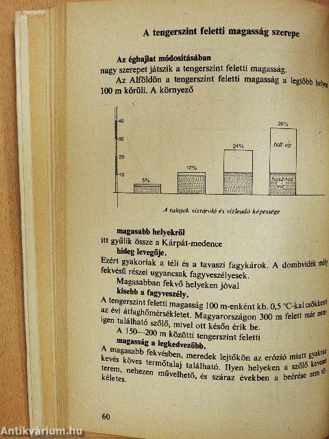 Tavasztól tavaszig a szőlőben