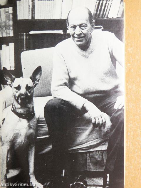 Párbeszéd a groteszkről