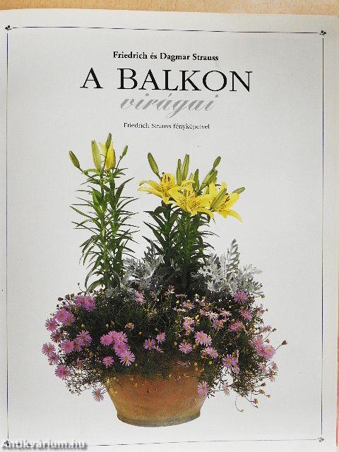 A balkon virágai