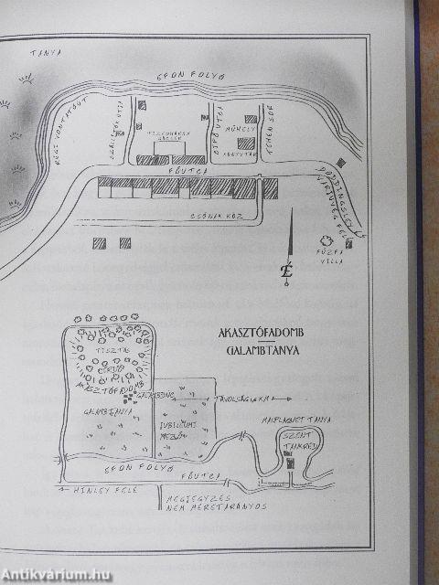 A titokzatos bábjátékos