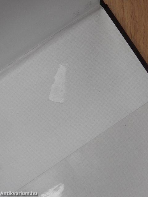 300 éve Szabad Királyi Város Debrecen