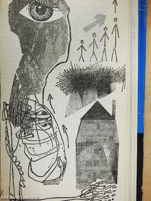 Piknik a senkiföldjén