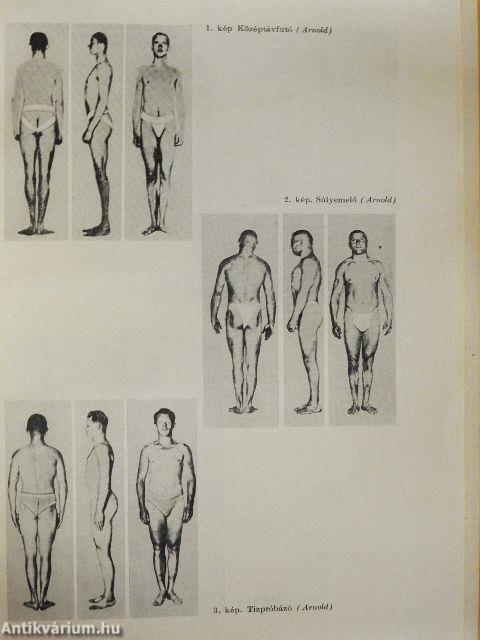 A testnevelés és sport egészségtana