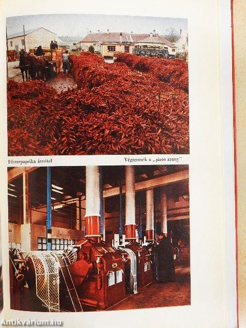 Bács-Kiskun megye élelmiszergazdaságának 25 éve