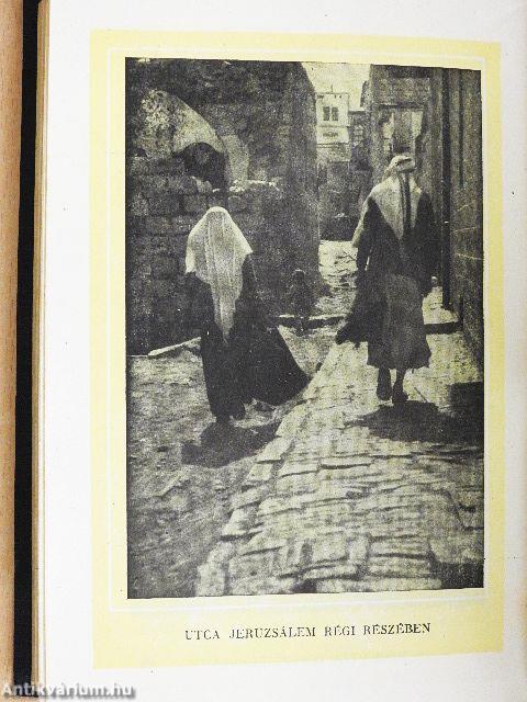 Az üdvözítő nyomában I-II.