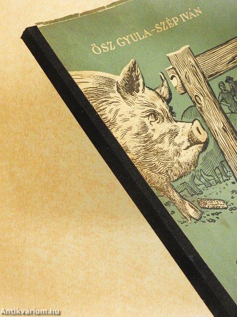 Gyakoribb sertésbetegségek/Sertéshigiéne