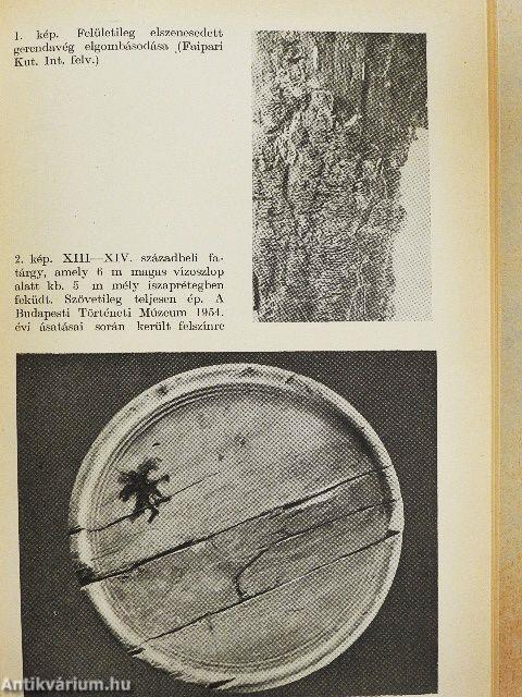 Védekezés a faanyagok rovarkártevői ellen