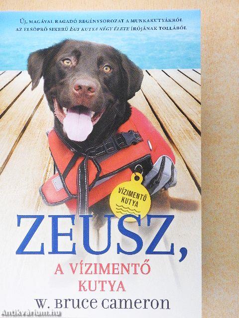Zeusz, a vízimentő kutya