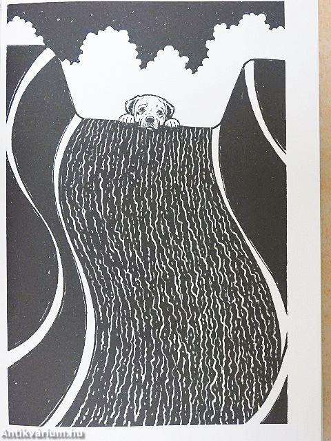 Zeusz, a vízimentő kutya