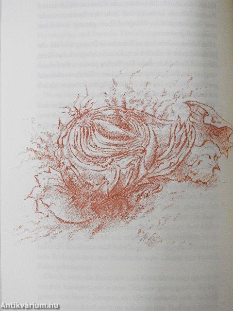 Beim Häuten der Zwiebel