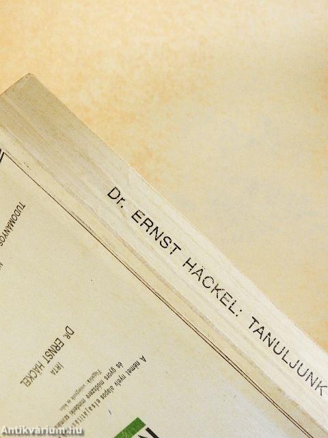 Tanuljunk könnyen, gyorsan németül!