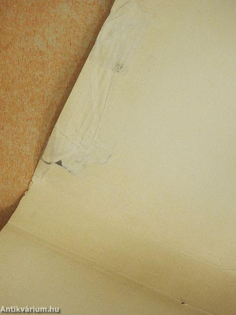 Bragelonne vicomte 1-5.