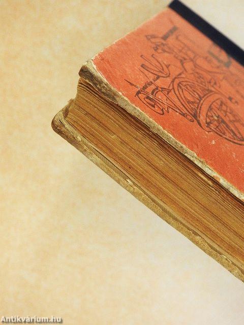 A naprendszer élete