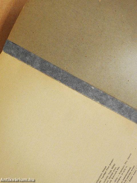 Magyar nyelvjárások VI.