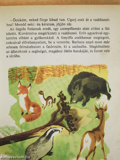 Gömböc Miska kalandjai