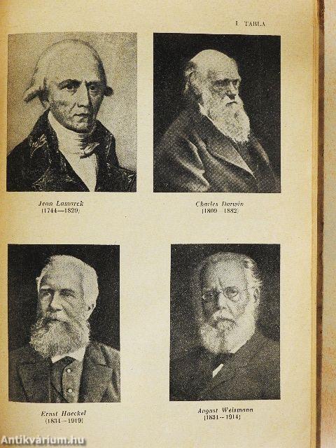 Az ösztönök világa