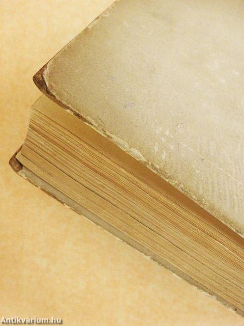 A vörös lobogó alatt