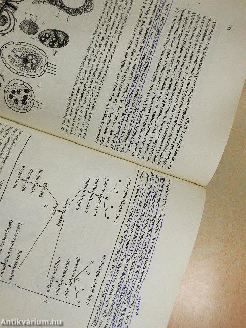 Növényszervezettan és növényélettan