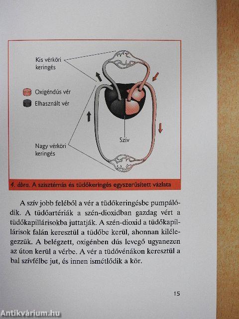 Koleszterin - Diéta és kezelés
