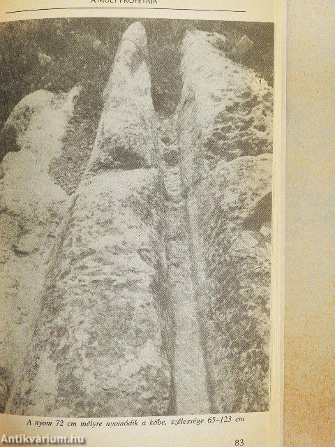 A múlt prófétája