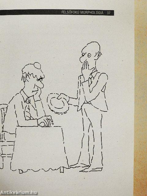 Murphy törvénykönyve