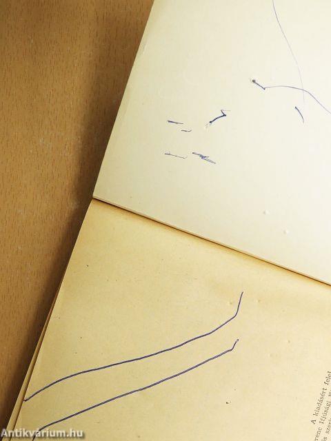 Összkomfortos Robinson