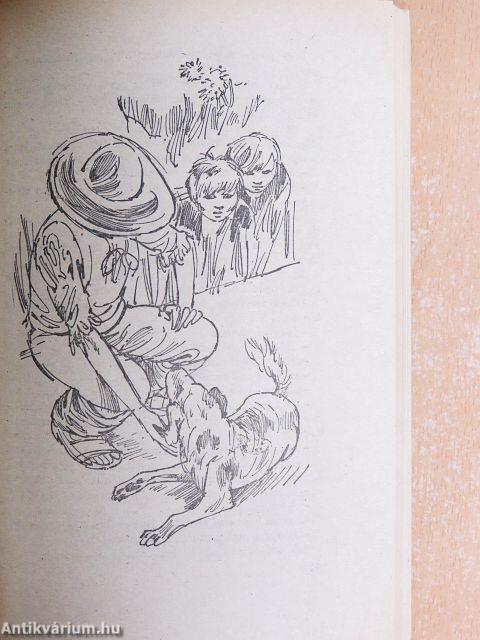 A fantasztikus nagynéni