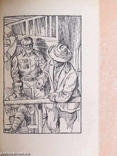 Salamon király kincse