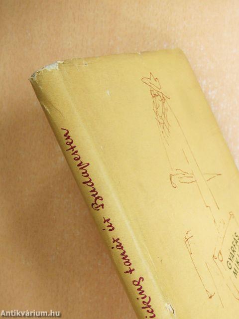 Picking tanár úr Budapesten