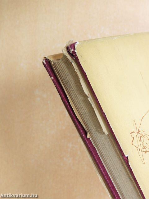 Picking tanár úr Budapesten