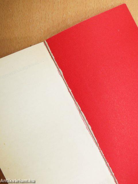 Osztálylétrán Amerikában