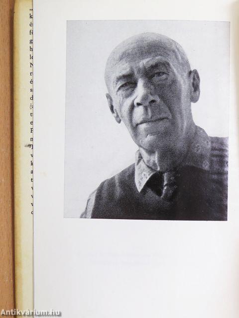 A légkondicionált lidércnyomás