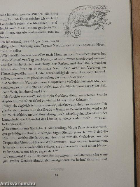 Blüten aus Tropenfernen