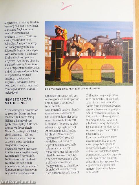 Játsszunk a kutyánkkal - Agility