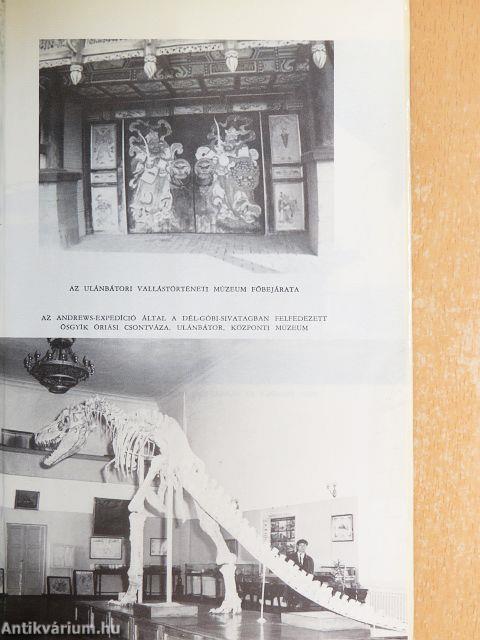 Az Arany-Góbi kősivatagában