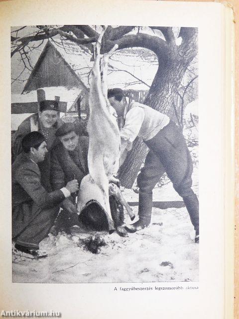 A faggyúfáklyás expedíció